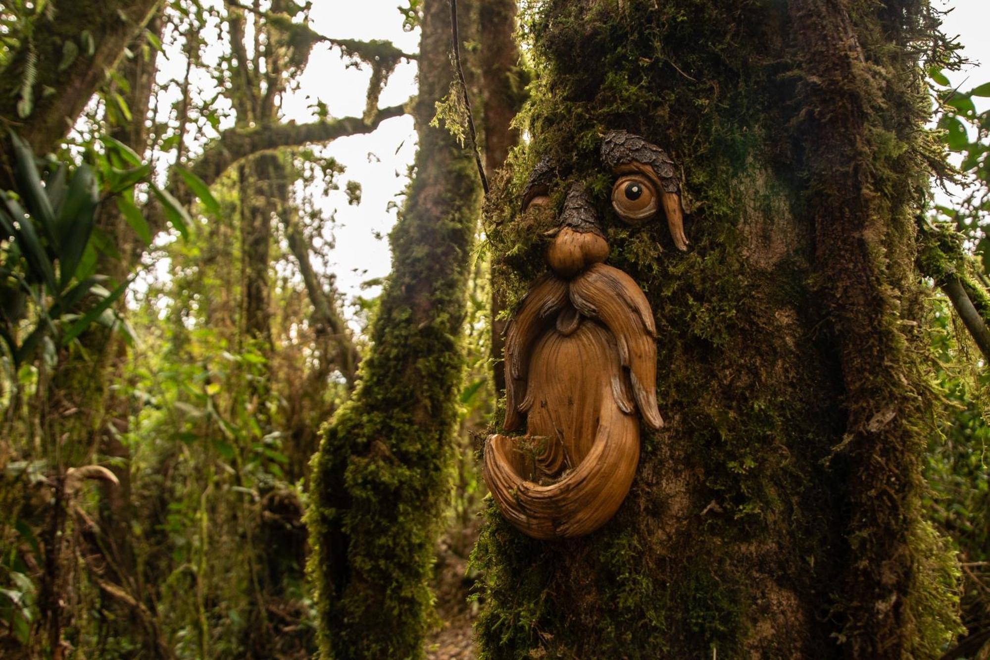 Owl'S Watch At Rio Blanco Villa Manizales Ngoại thất bức ảnh