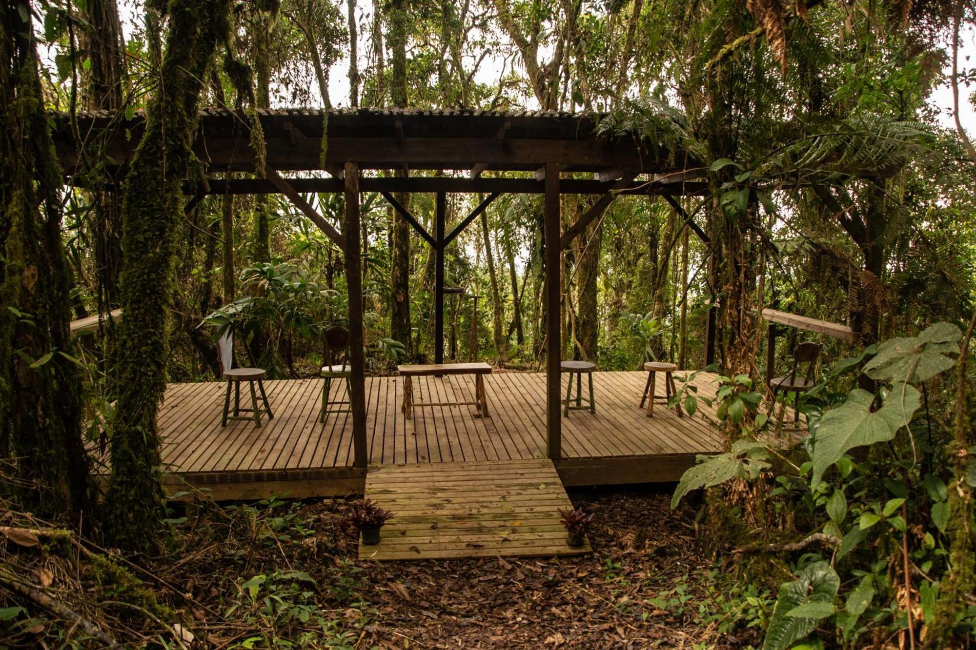 Owl'S Watch At Rio Blanco Villa Manizales Ngoại thất bức ảnh